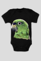 Green parot papuga