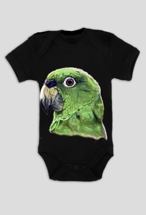 Green parot papuga
