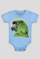 Green parot papuga