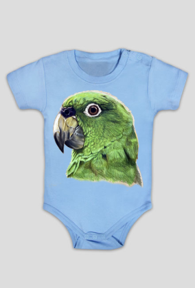 Green parot papuga