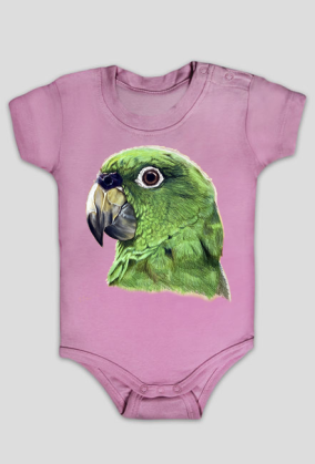 Green parot papuga
