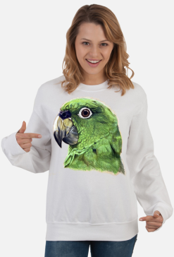 Green parot papuga