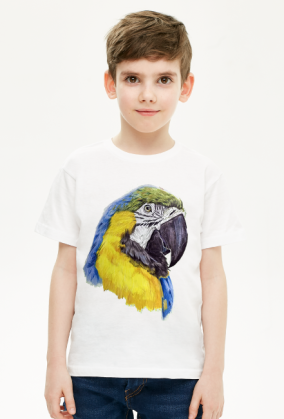 Parot papuga