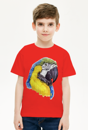 Parot papuga