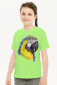 Parot papuga