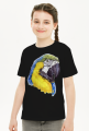 Parot papuga