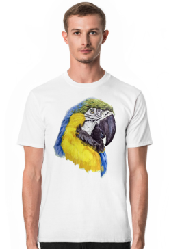 Parot papuga