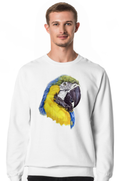 Parot papuga