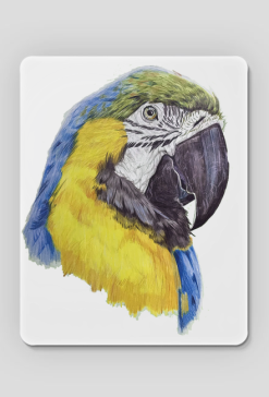 Parot papuga