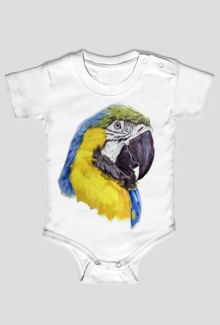 Parot papgua