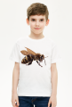 Pszczoła bee