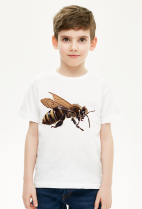 Pszczoła bee
