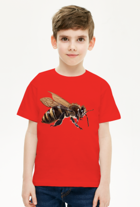 Pszczoła bee