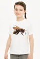 Pszczoła bee