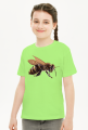 Pszczoła bee