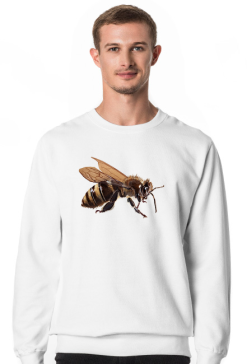 Pszczoła bee