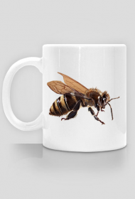 Pszczoła bee