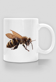 Pszczoła bee