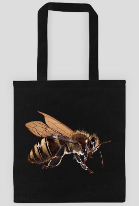 Pszczoła bee