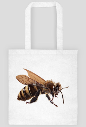 Pszczoła bee