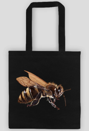 Pszczoła bee