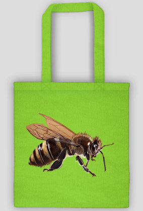 Pszczoła bee