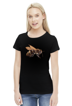 Pszczoła bee