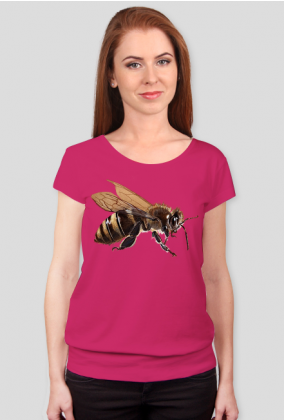 Pszczoła bee