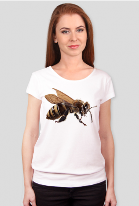 Pszczoła bee