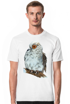 Gołąb dove