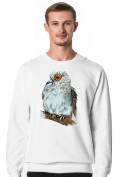 Gołąb dove