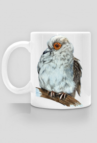 Gołąb dove