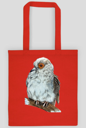 Gołąb dove