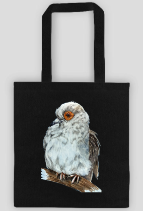 Gołąb dove