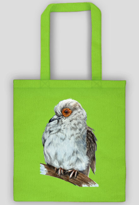Gołąb dove