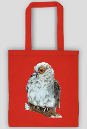 Gołąb dove