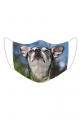 Maseczka -  Chihuahua