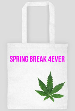 spring breakers bag