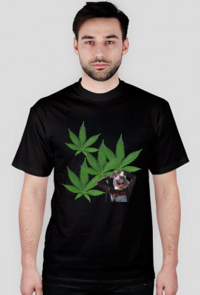 alice shirt