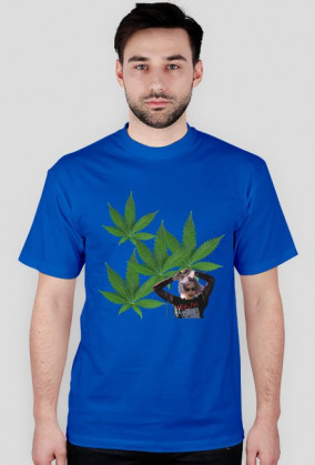 alice shirt
