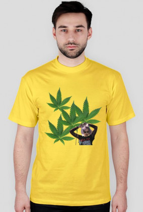alice shirt