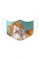 Maseczka Ochronna Słodki Kotek