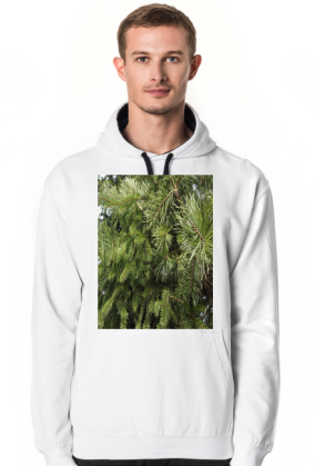 bluza męska z kapturem