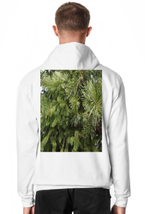 bluza męska z kapturem