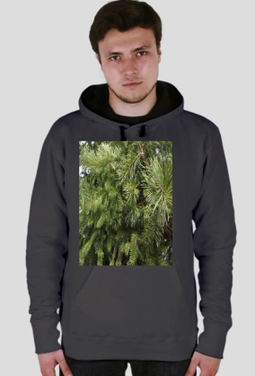 bluza męska z kapturem