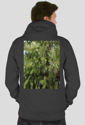 bluza męska z kapturem