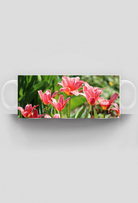 Kubek Tulipany