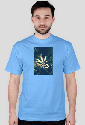 Liść konopi