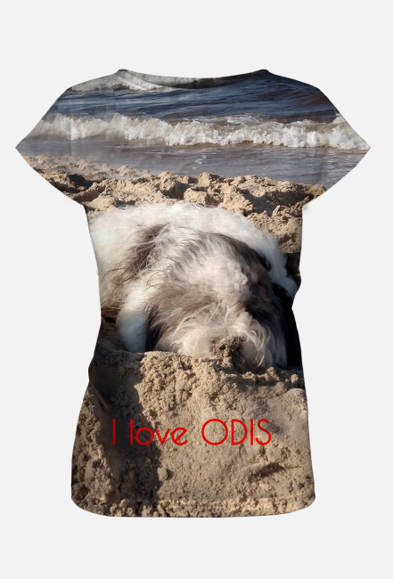ODIS - Idealny Pies Domowy z Odessy