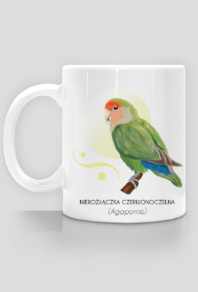 Kubek nierozłączka czerwonoczelna